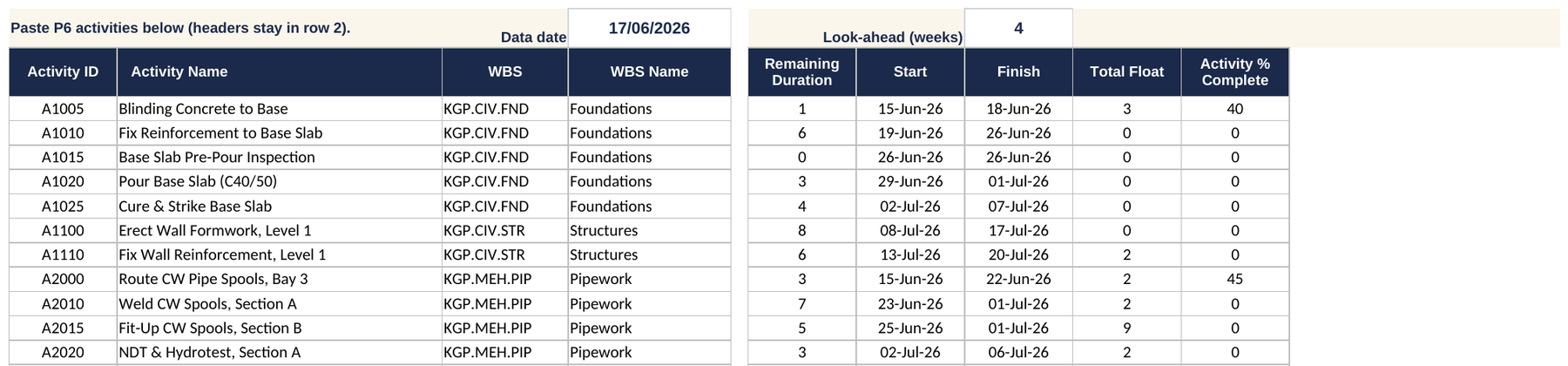 The P6 Paste sheet with sample activities